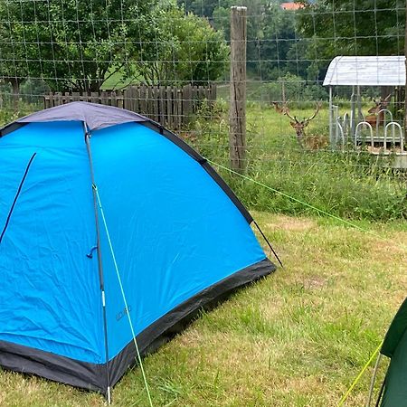Camping F Selbstversorger Gut Jaegerhof Adults Only Semriach Екстер'єр фото